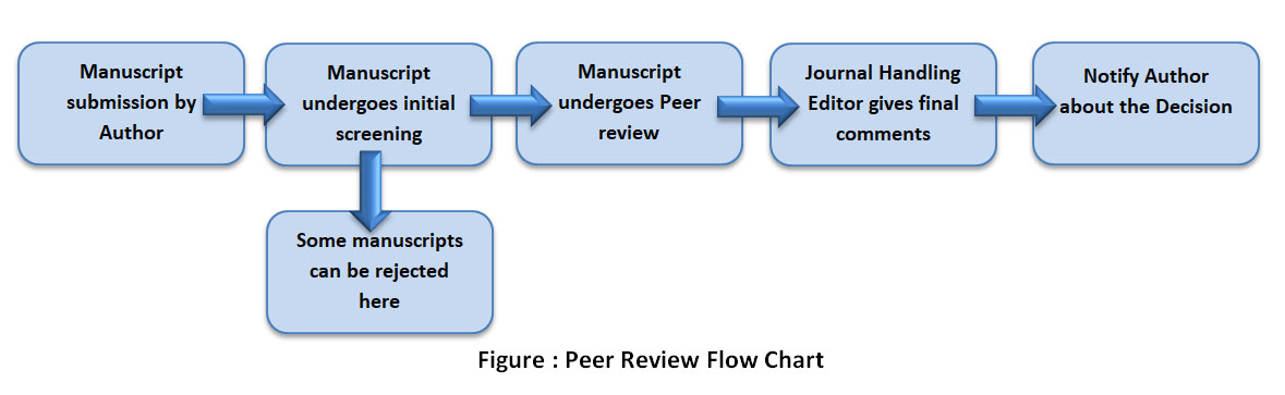 peer review process academic research